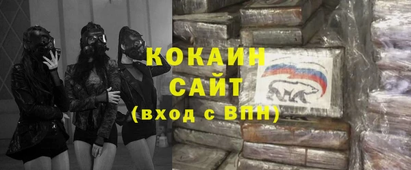сатива Ладушкин