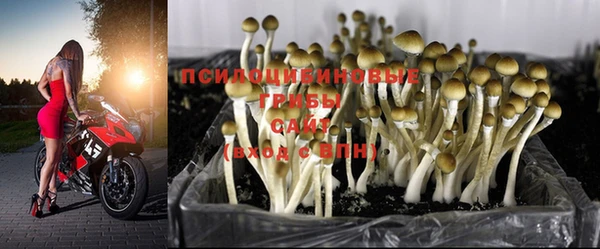 скорость Липки